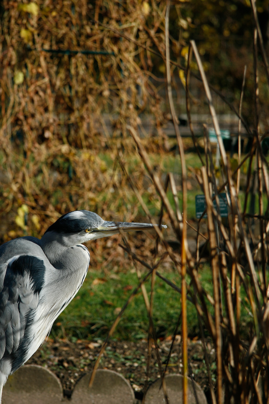 1/500 s à f / 5,6 - 85 mm - ISO 100 - Priorité d'ouverture