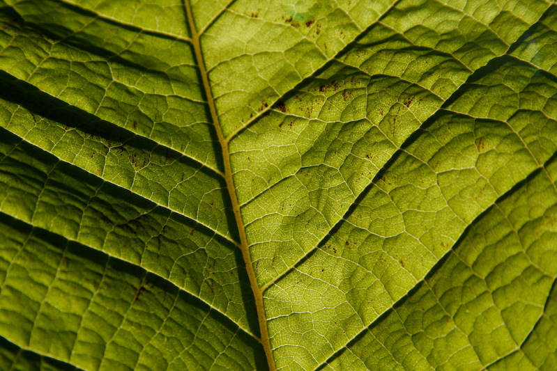 1/640 s à f / 9,0 - 85 mm - ISO 200 - Priorité d'ouverture