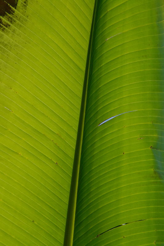 1/500 s à f / 9,0 - 85 mm - ISO 200 - Priorité d'ouverture