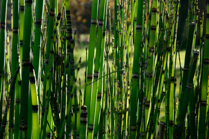 1/100 s à f / 10 - 59 mm - ISO 200 - Priorité d'ouverture