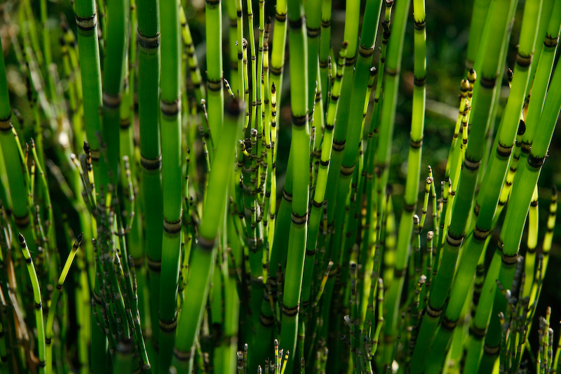 1/250 s à f / 5,6 - 85 mm - ISO 200 - Priorité d'ouverture