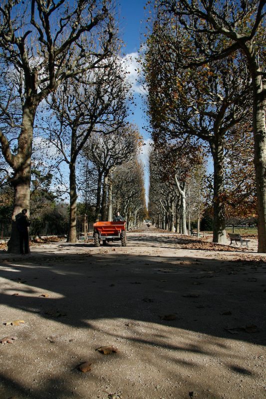 1/800 s à f / 5,6 - 17 mm - ISO 200 - Priorité d'ouverture