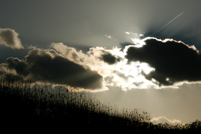 1/1250 s à f / 13 - 85 mm - ISO 100 - Priorité d'ouverture